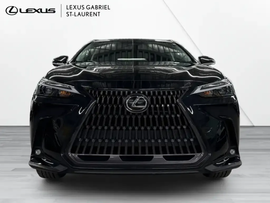 Lexus Nx 2022 photo 2