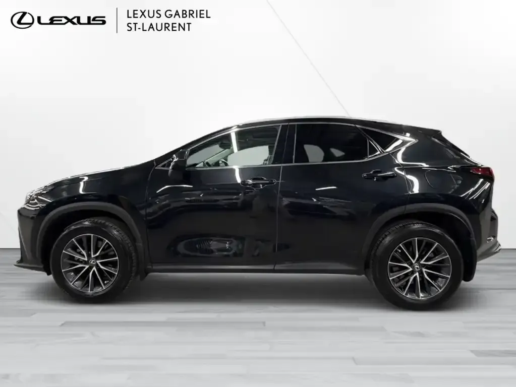 Lexus Nx 2022 photo 4