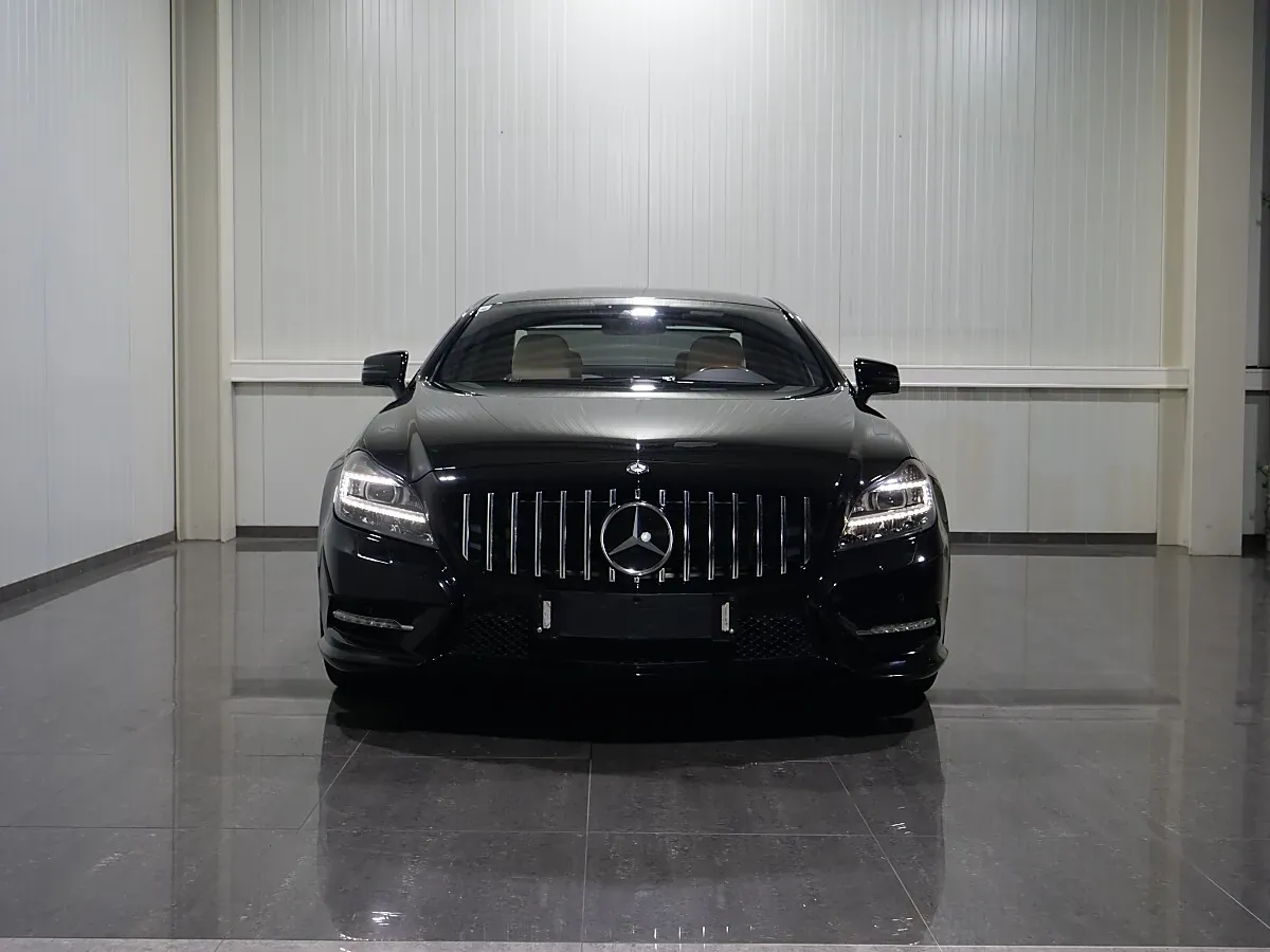 Mercedes-Benz Cls-Class 2014 photo 2