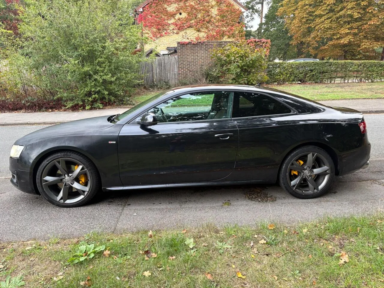Audi A5 2010 photo 5