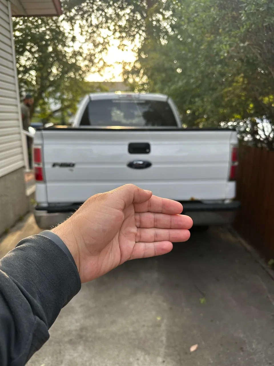 Ford F-150 2014 photo 3