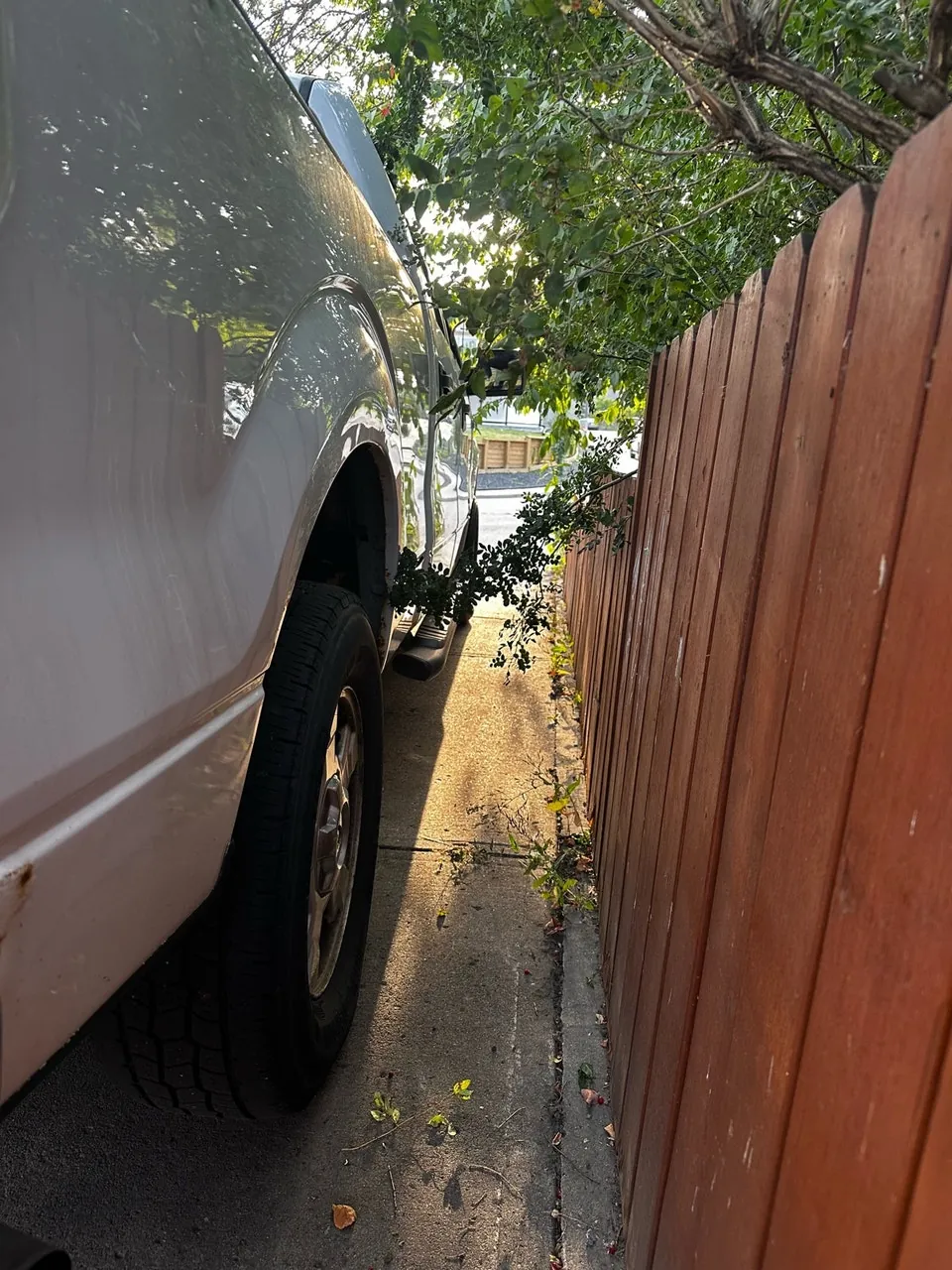 Ford F-150 2014 photo 4