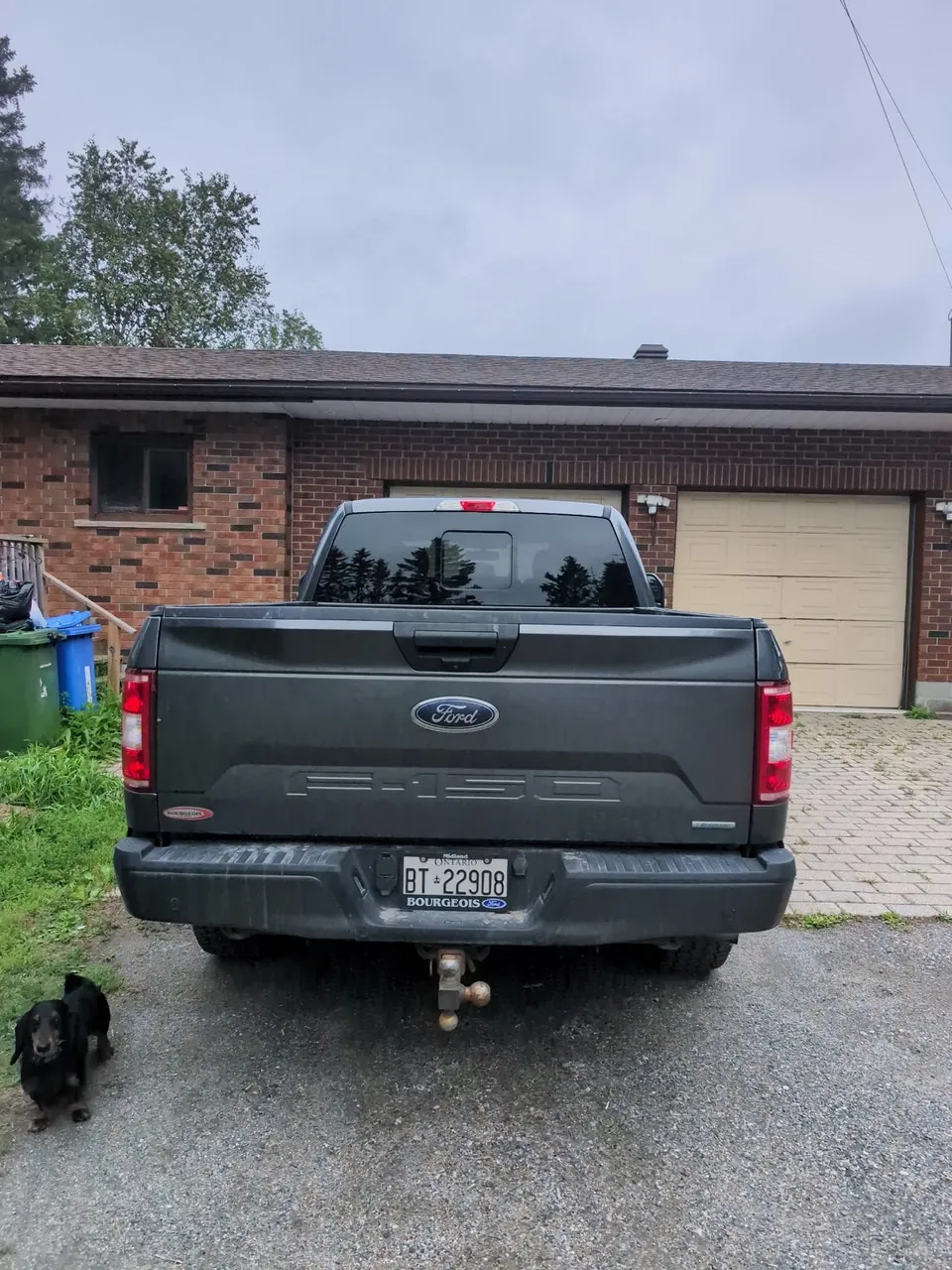 Ford F-150 2020 photo 4