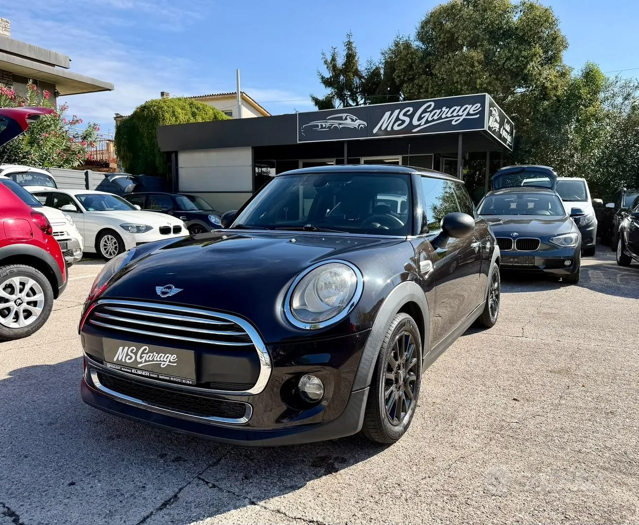 Mini Mini