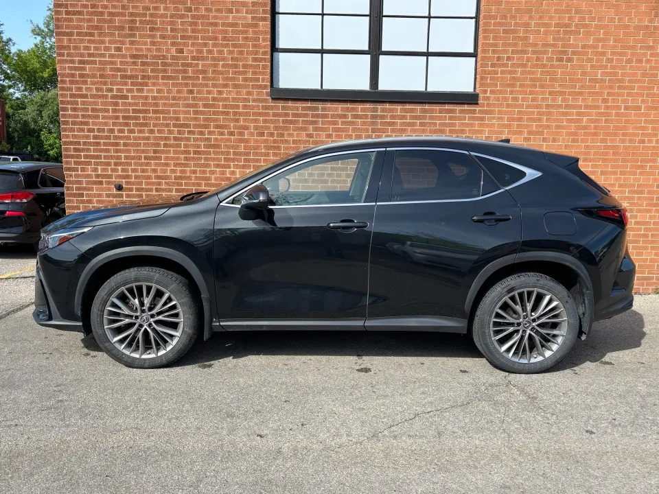 Lexus Nx 2022 photo 3