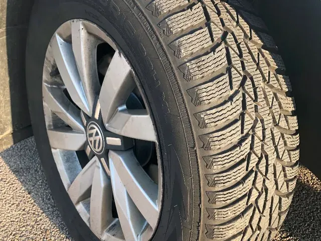 Nokian Wr D4 photo 2