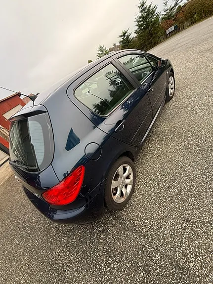 Peugeot 307 2007 photo 2