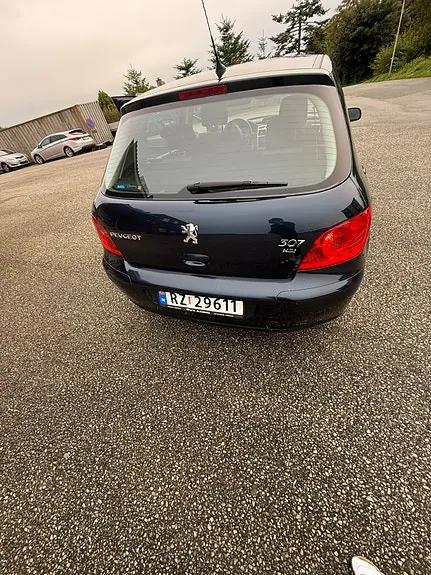 Peugeot 307 2007 photo 3