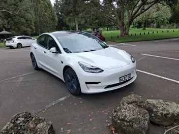 Tesla Model 3 2020 photo 3
