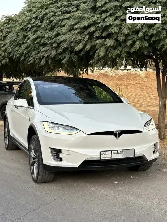 Tesla Model X 2019 photo 3
