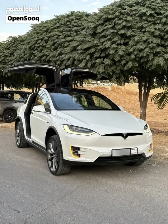 Tesla Model X 2019 photo 2