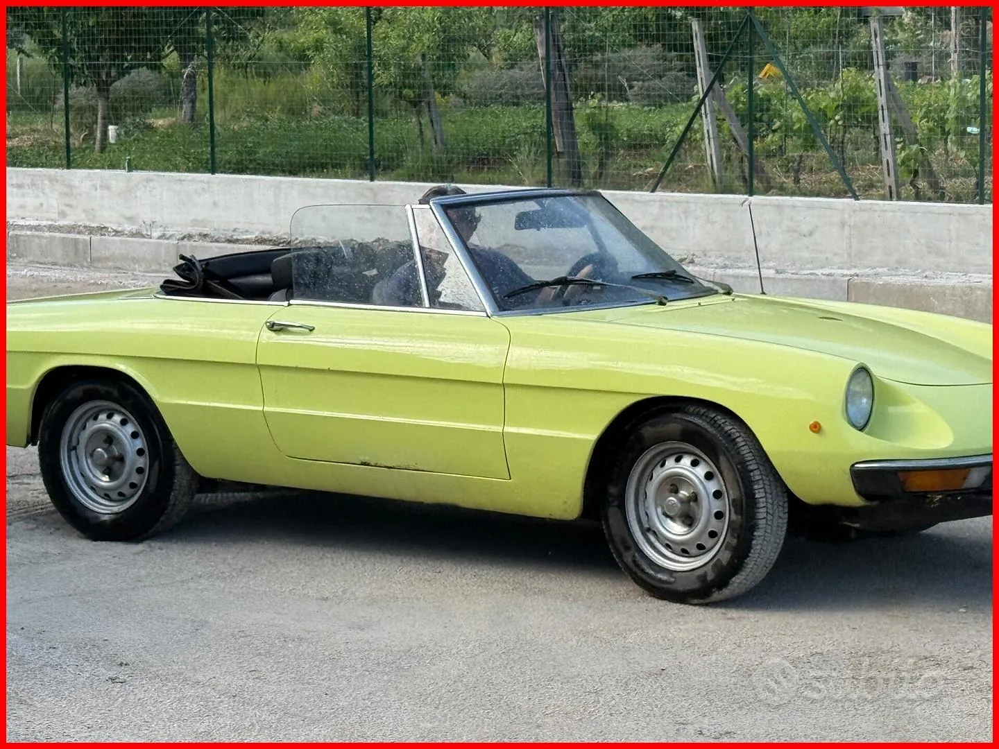 Alfa Romeo Spider