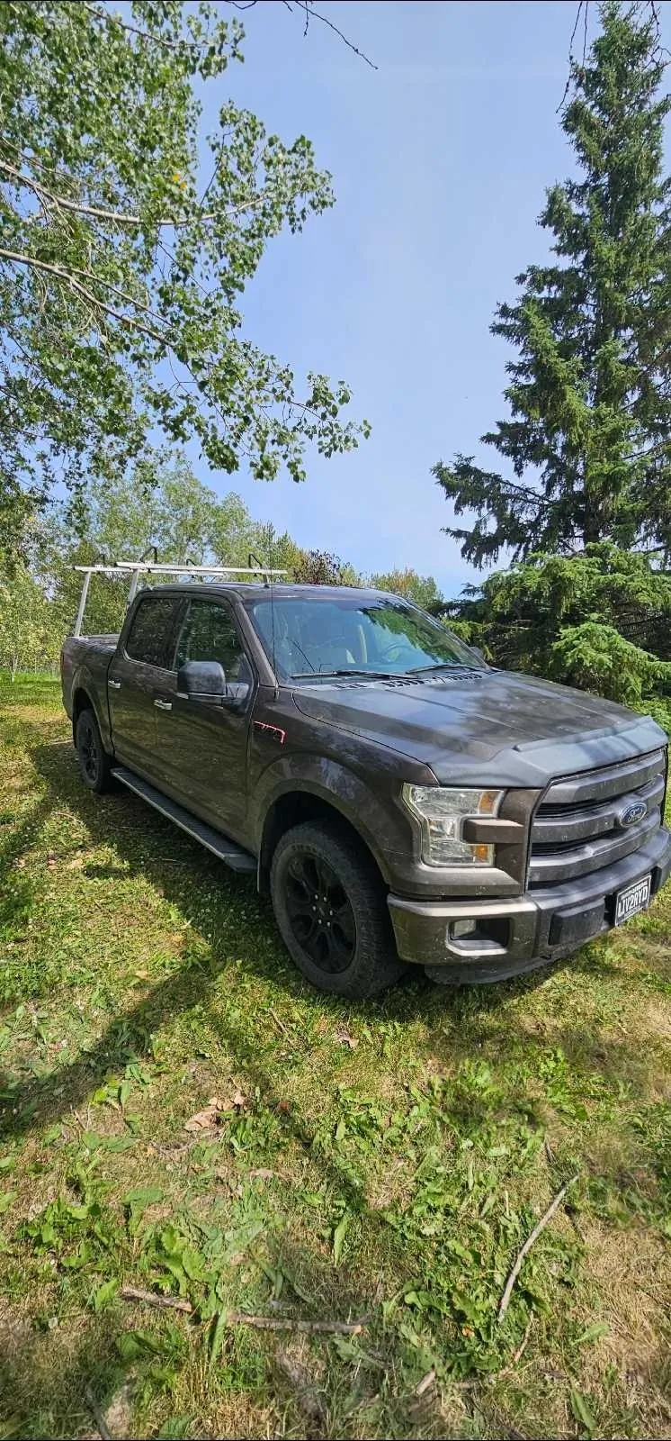 Ford F-150 2016 photo 2