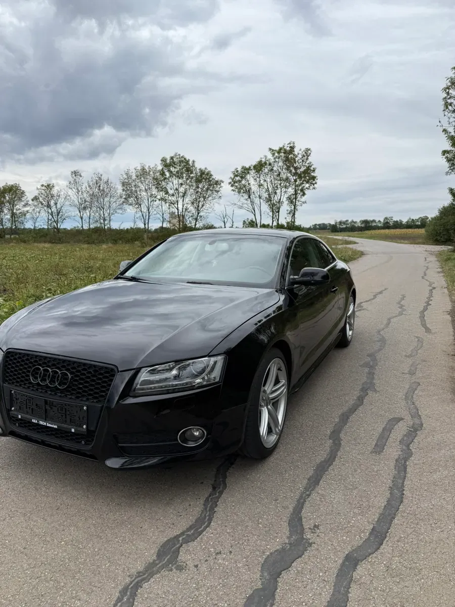 Audi A5 2009 photo 3