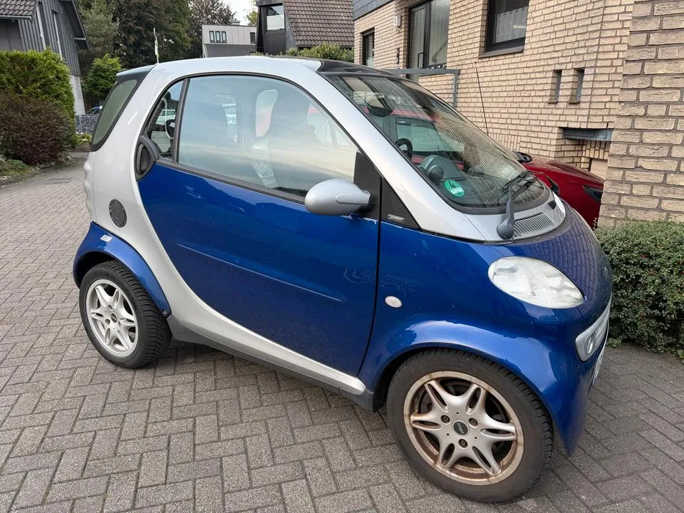 Smart For Two