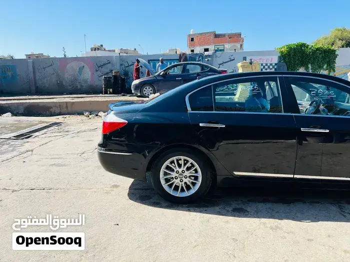 Genesis Sonata 2010 photo 2