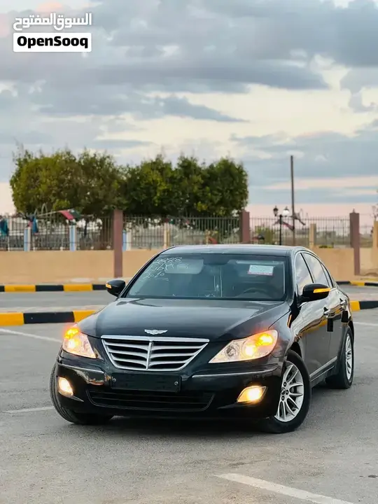 Genesis Sonata 2010 photo 5