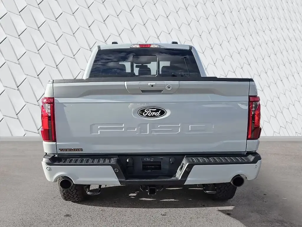 Ford F-150 2026 photo 5