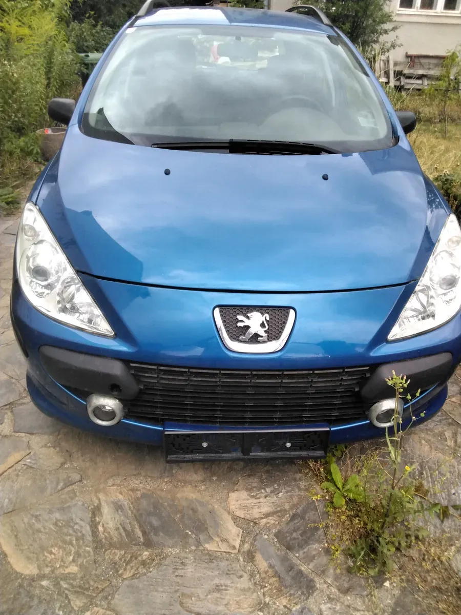 Peugeot 307 2006 photo 2