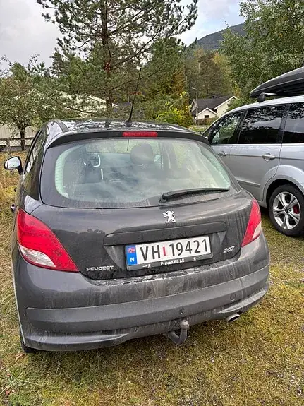 Peugeot 207 2009 photo 3