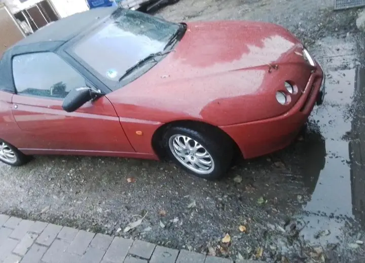 Alfa Romeo Spider