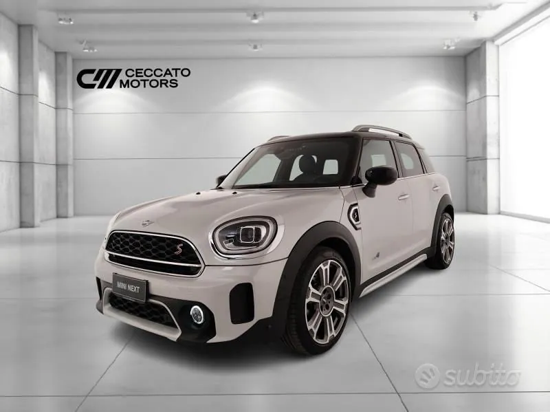Mini Mini Countryman