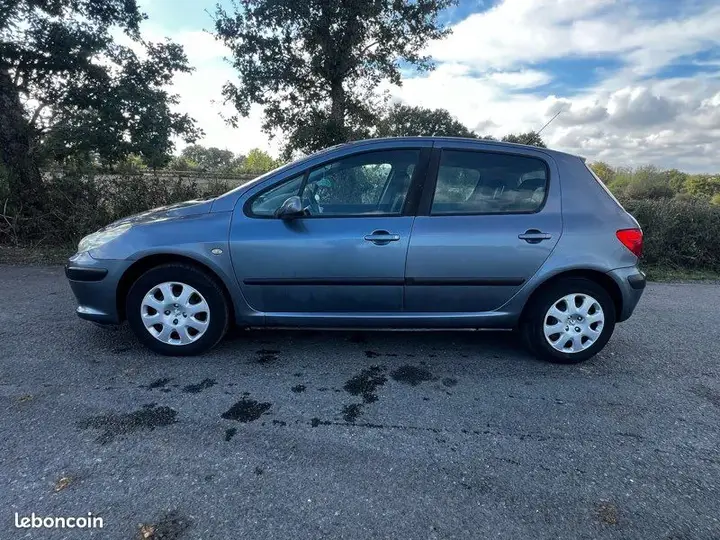 Peugeot 307 2005 photo 5