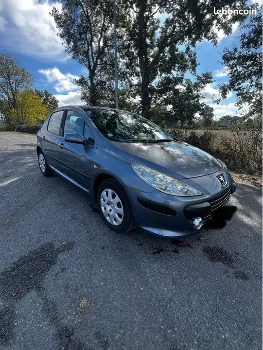 Peugeot 307 2005 photo 4