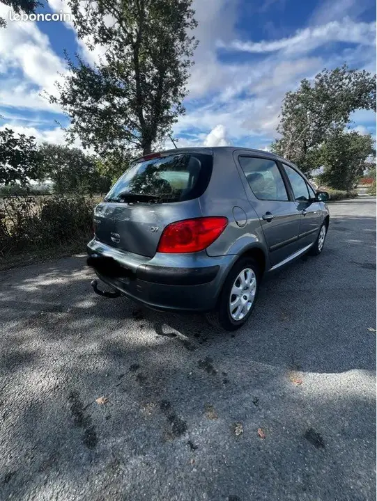 Peugeot 307 2005 photo 2
