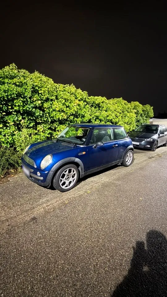 Mini R50