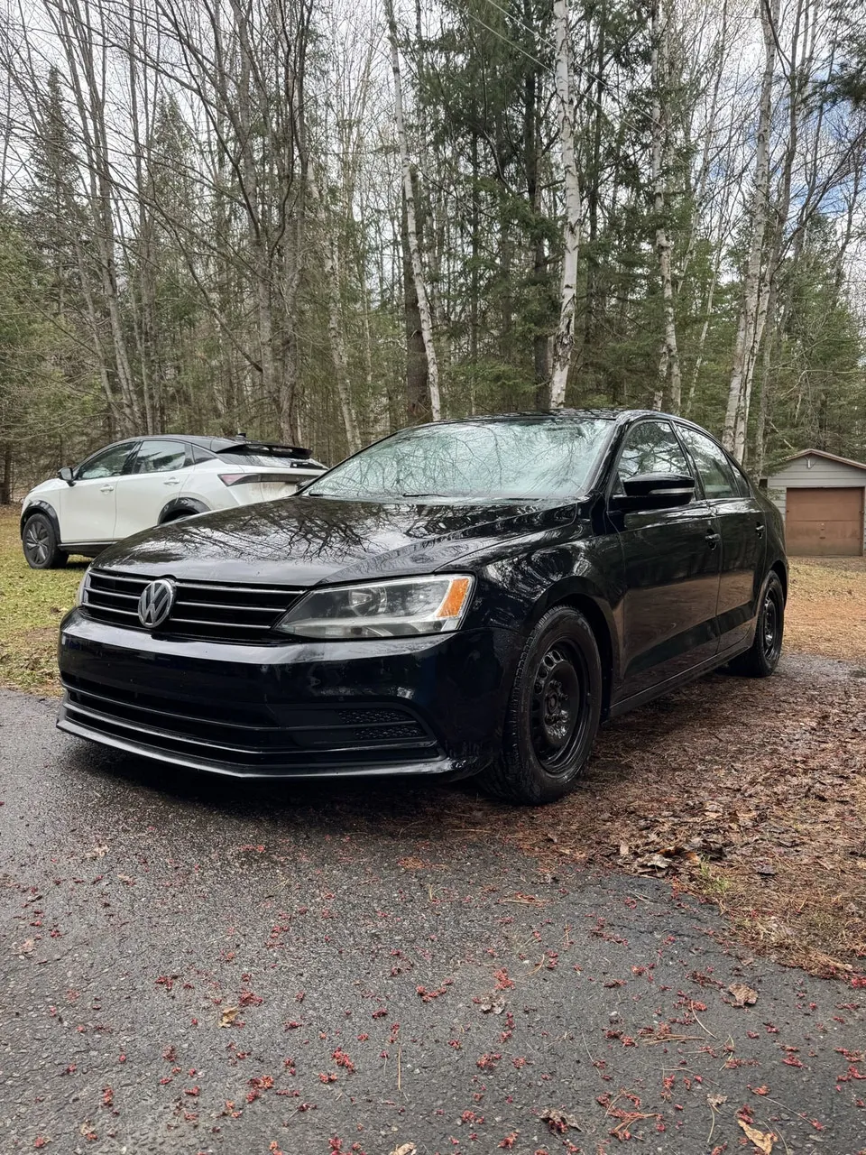Volkswagen Jetta 2016 photo 3