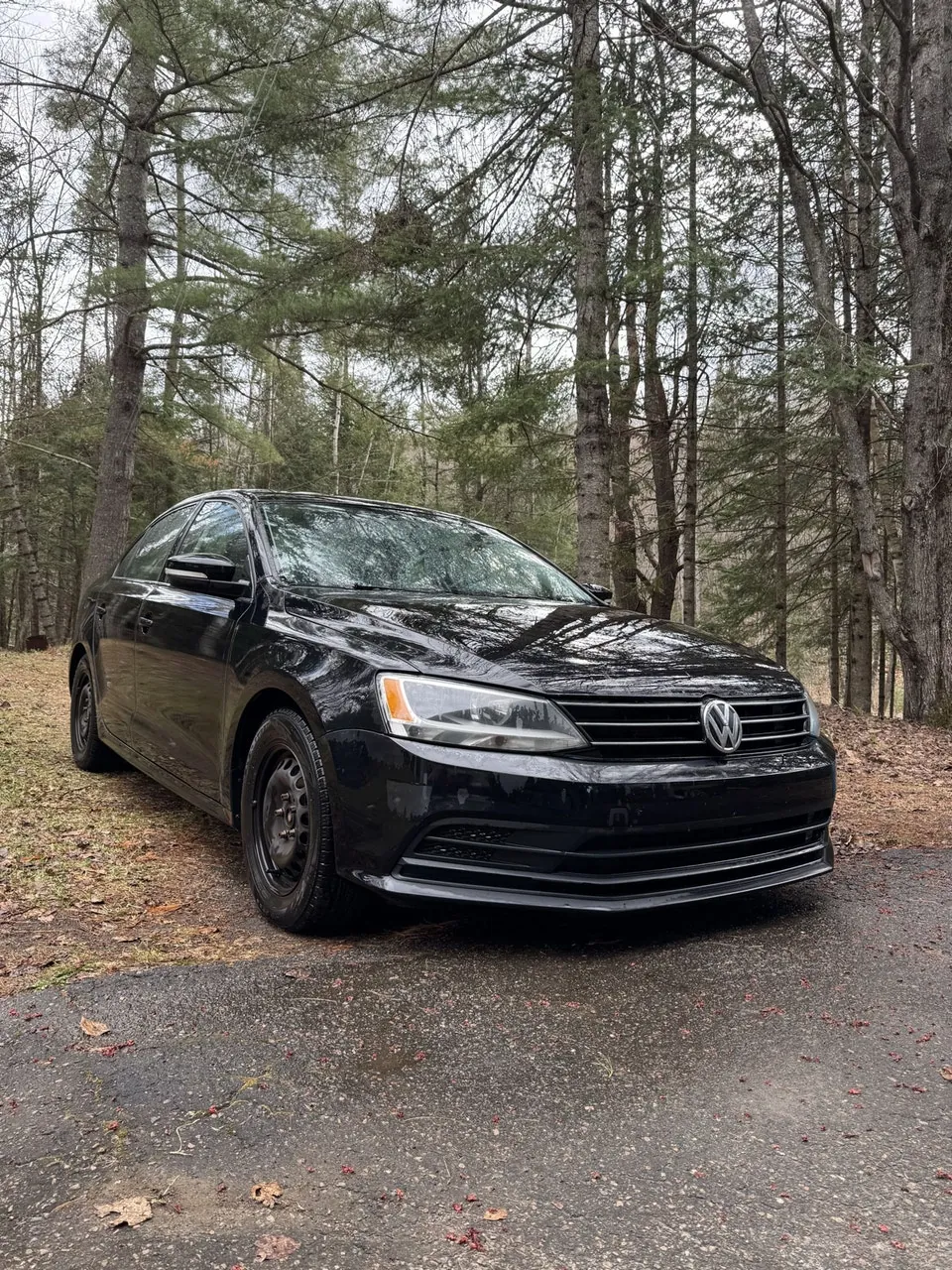 Volkswagen Jetta 2016 photo 2