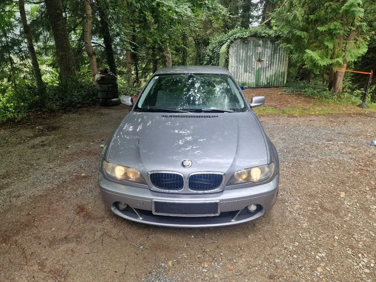 BMW 3 Series 2004 photo 2