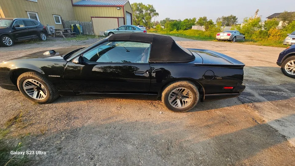 Pontiac Firebird 1991 photo 2