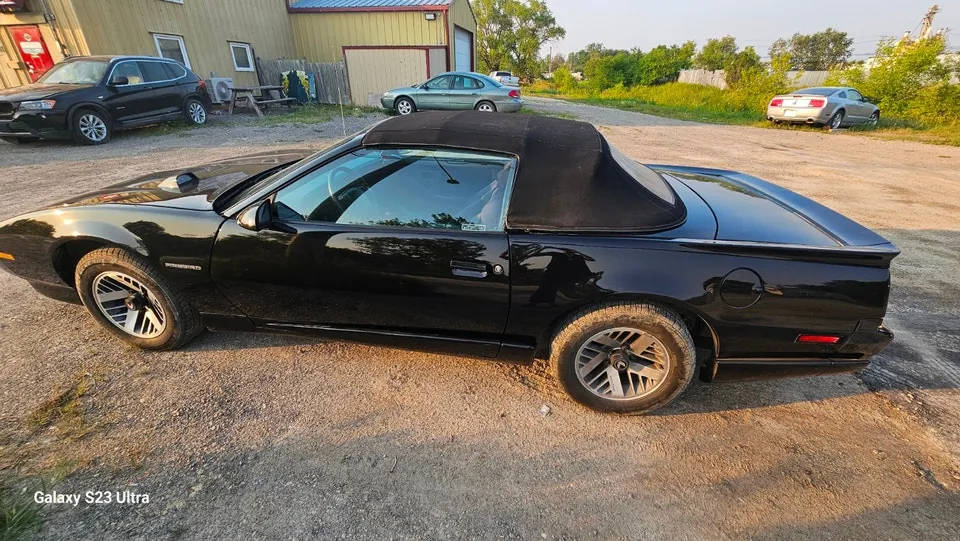 Pontiac Firebird 1991 photo 5