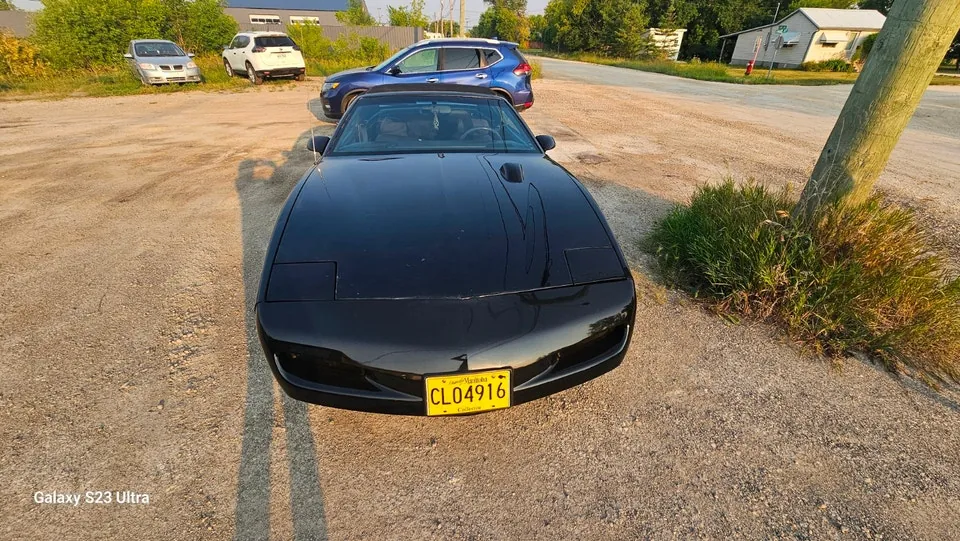 Pontiac Firebird 1991 photo 4
