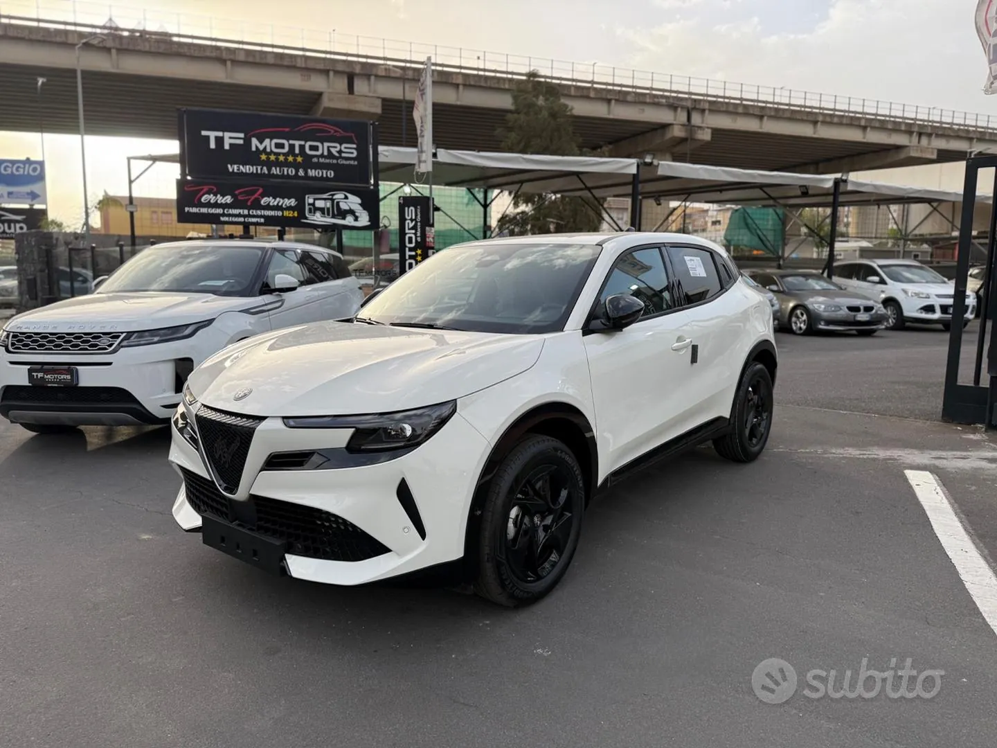 Alfa Romeo Junior