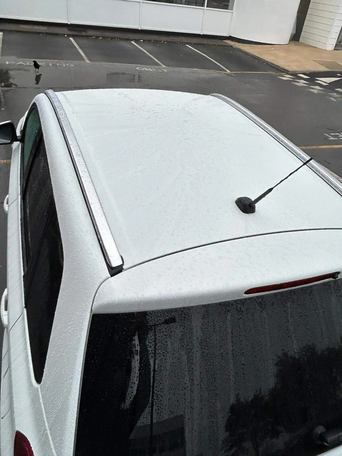 Suzuki Vitara 2019 photo 4