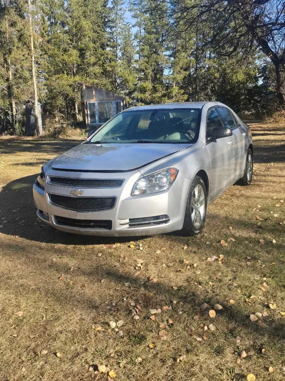 Chevrolet Malibu 2009 photo 4