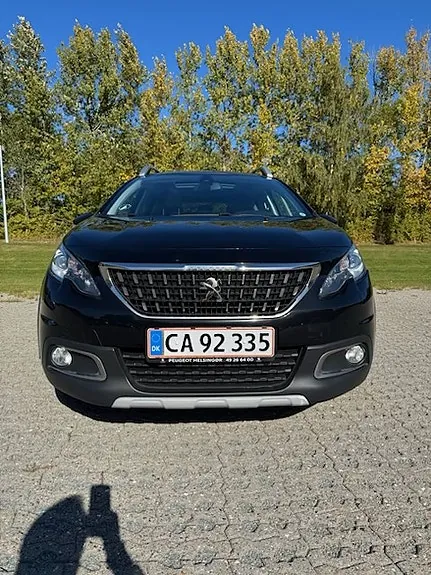 Peugeot 2008 2018 photo 2