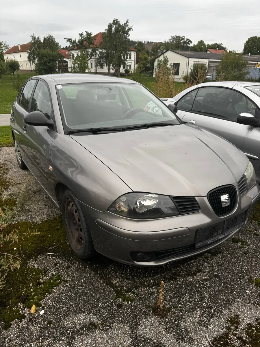 Seat Ibiza 2005 photo 2