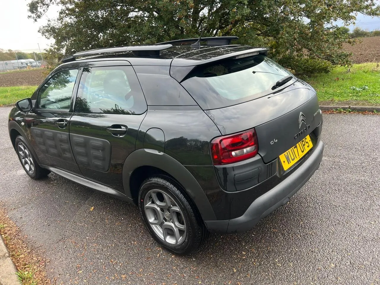 Citroen C4 Cactus 2017 photo 2