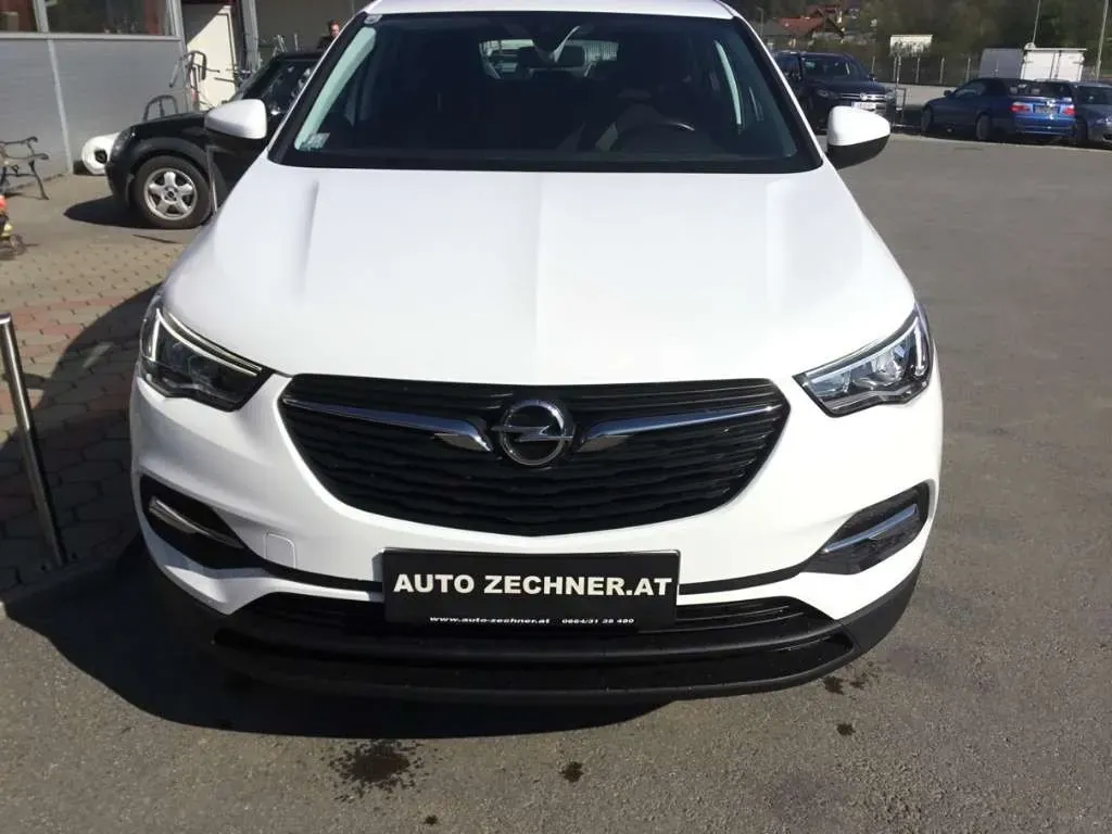 Opel Grandland X 2019 photo 3
