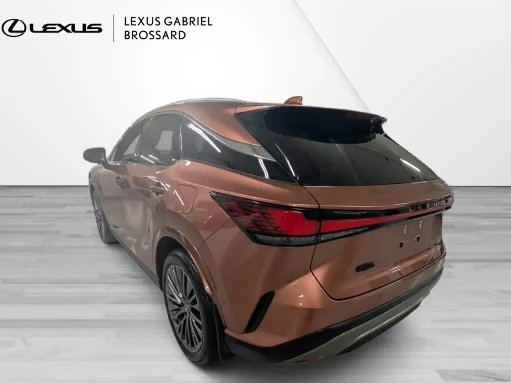 Lexus Rx 450H 2024 photo 3