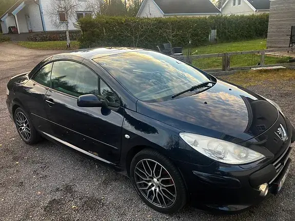 Peugeot 307 2007 photo 3