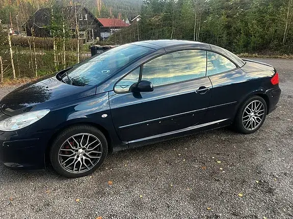 Peugeot 307 2007 photo 4