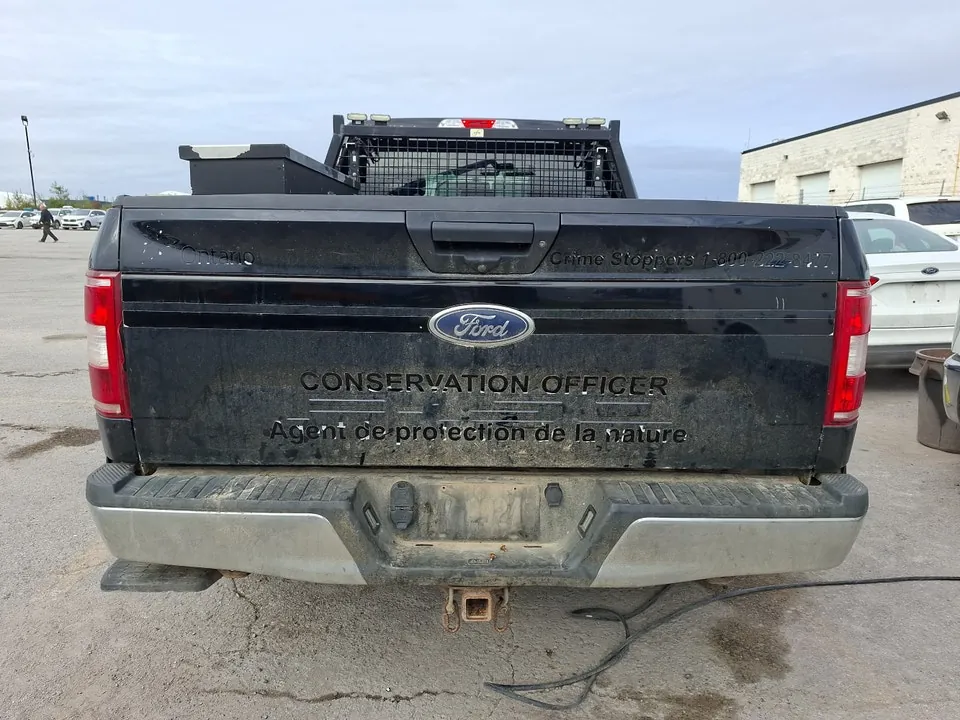 Ford F-150 2019 photo 5