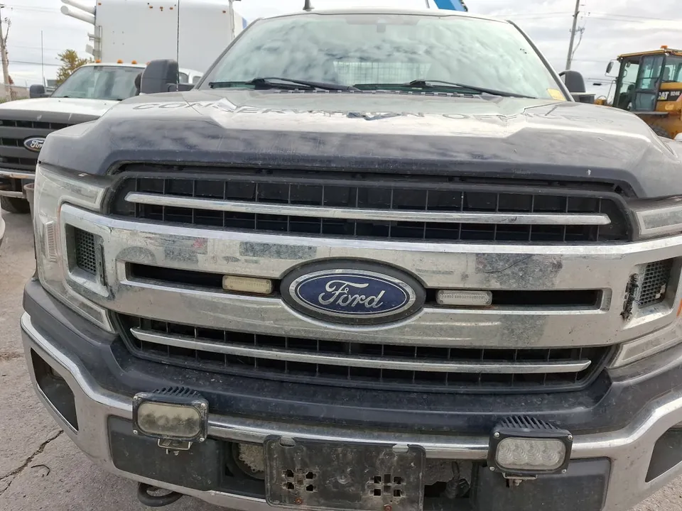 Ford F-150 2019 photo 2