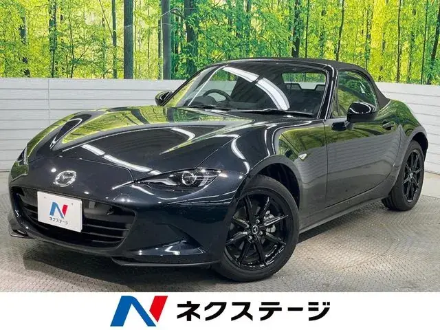 Mitsubishi Lourdstar