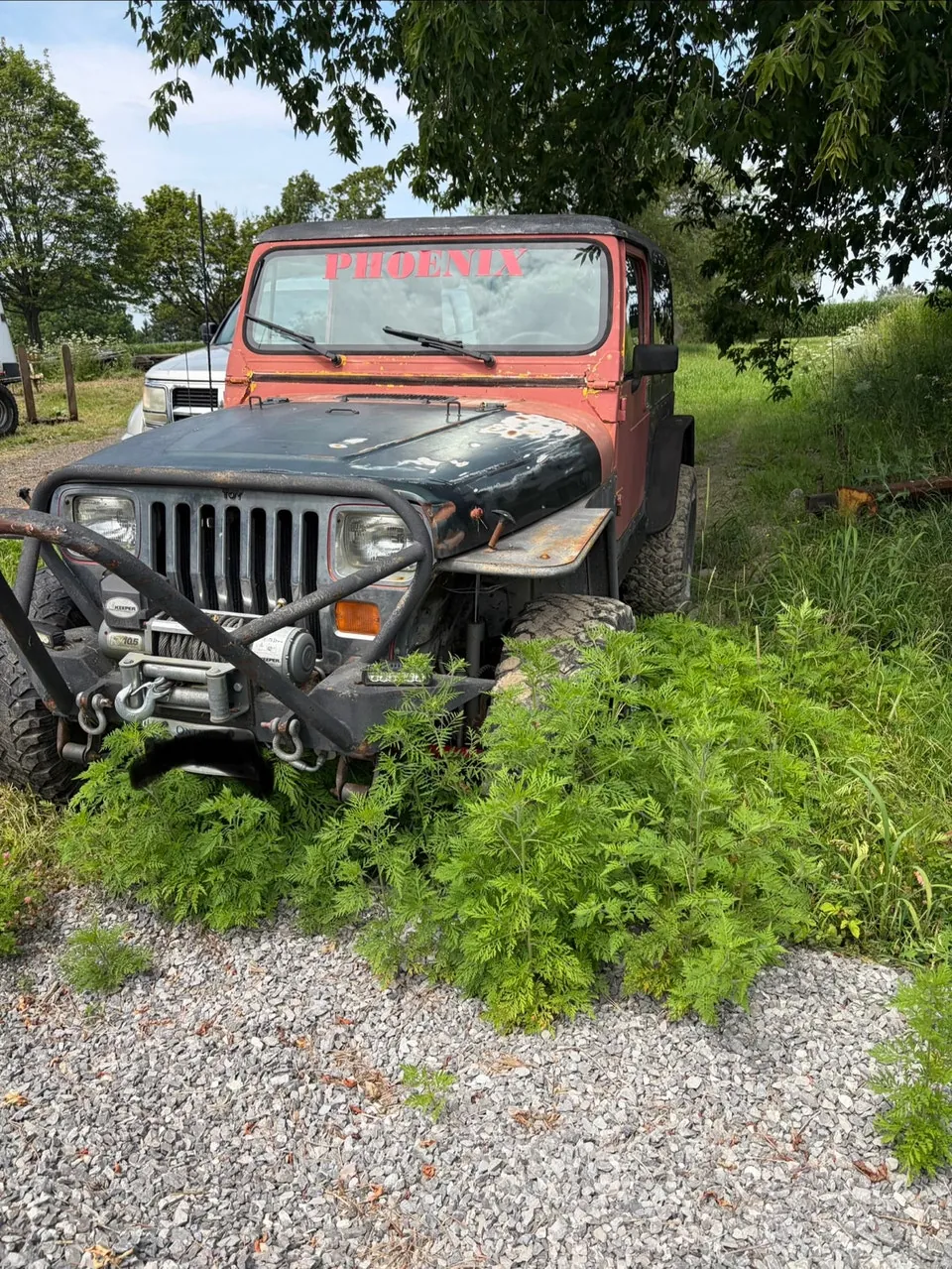 Jeep Wrangler 1990 photo 2
